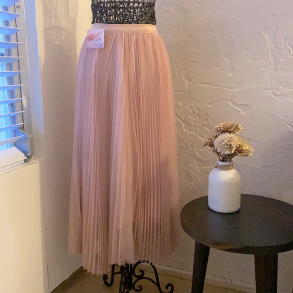 Chicwish Dresses & Skirts - Maxi skirt